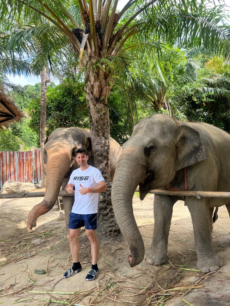 Personal travels — with elephants in Thailand